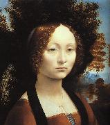 Portrait of Ginerva de'Benci-u,  Leonardo  Da Vinci